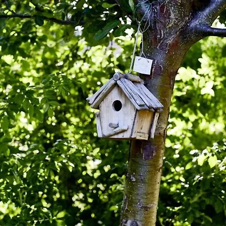 Schloss Schmarsow Apartment *